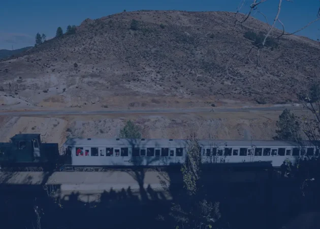 Inside the TRIPP Development Company: The Commercial Engine Behind the Zangezur Corridor